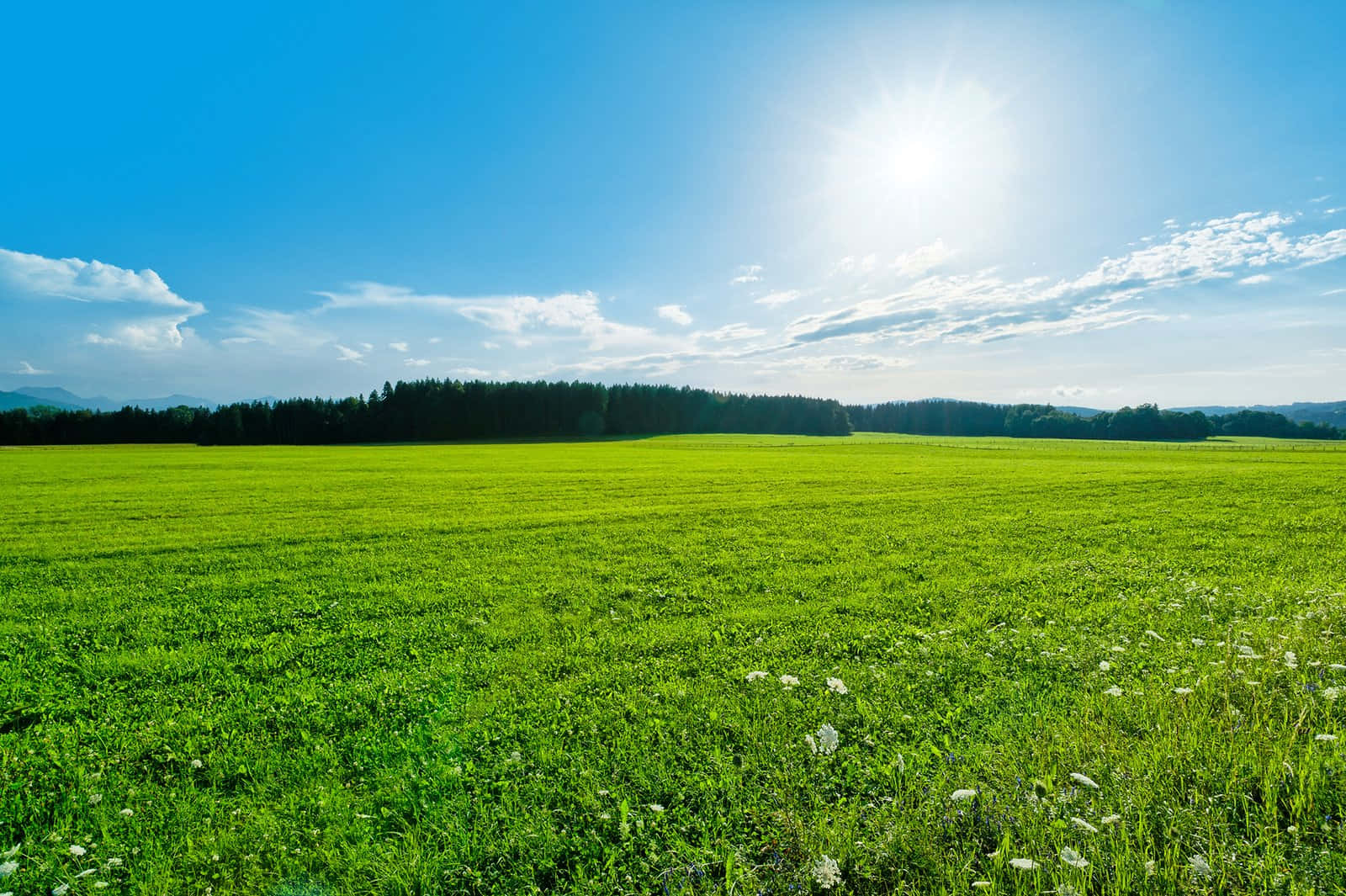 Vibrant Green Landscape - Rolling Hills And Clear Sky Wallpaper