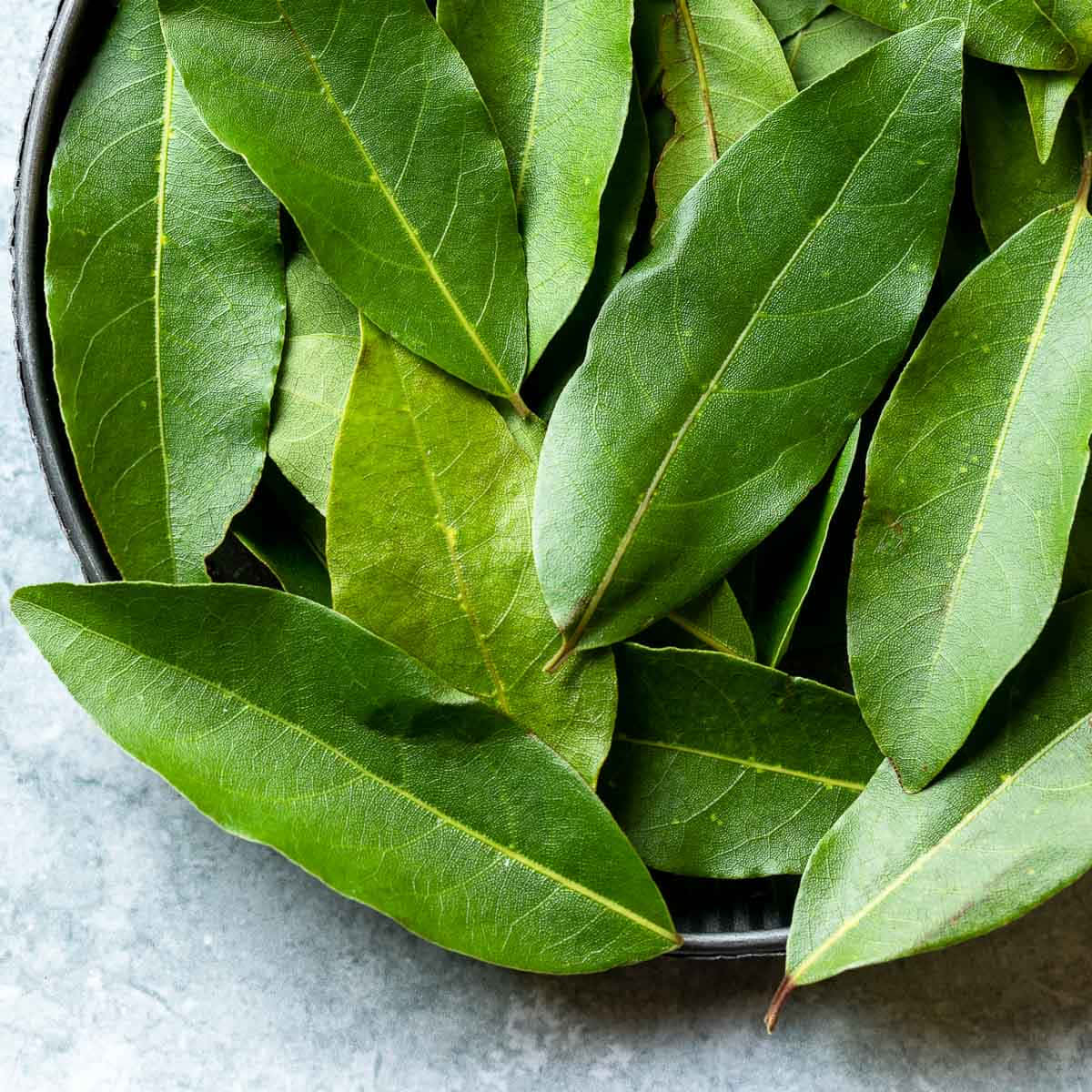 Vibrant Green Leaf In Natural Light Wallpaper