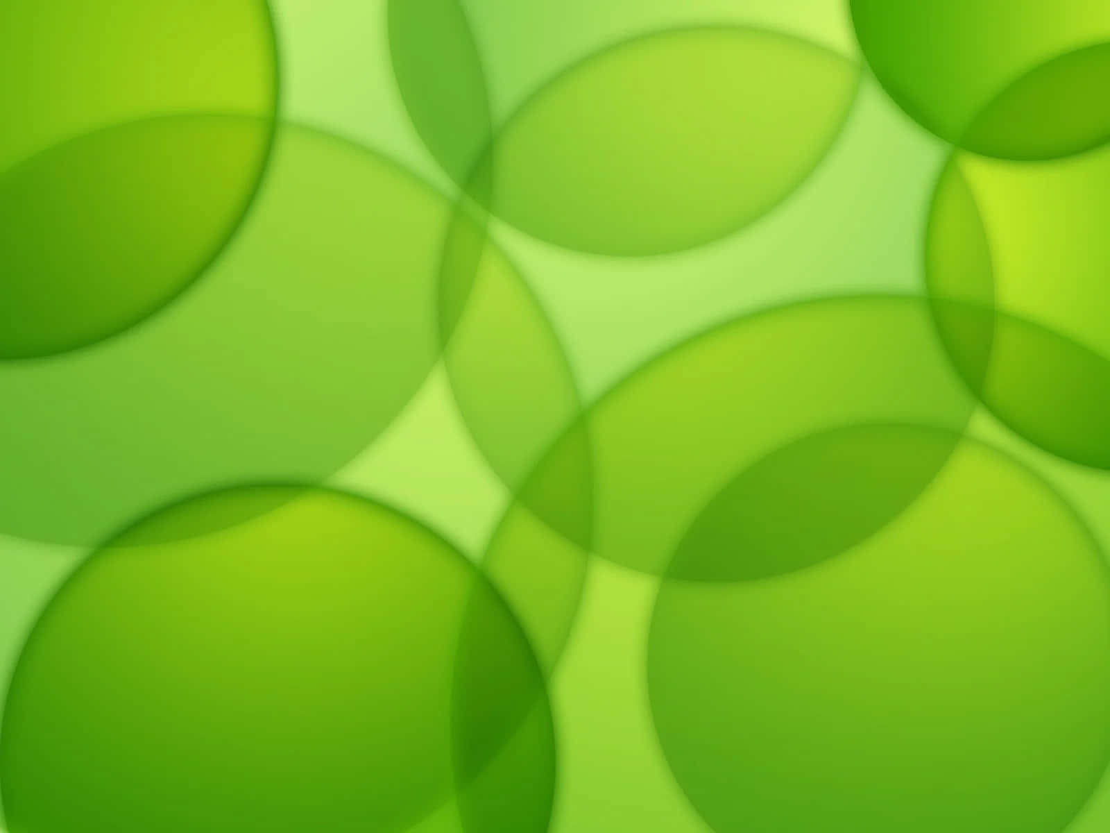 Vibrant Lime Green Gradient Wallpaper Wallpaper