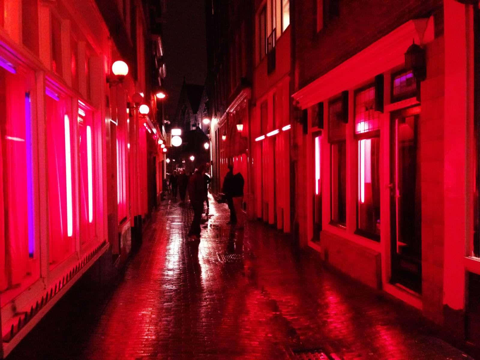 Vibrant Neon Lights In The Red Light District Wallpaper