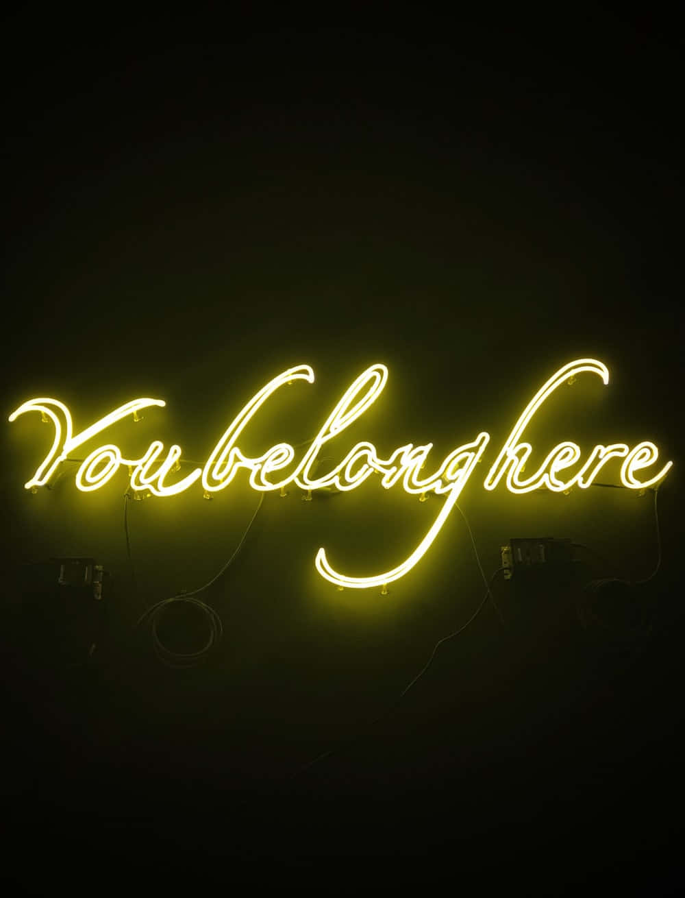 Vibrant Neon Typography Art Wallpaper