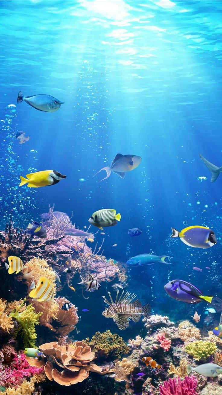 Vibrant_ Ocean_ Life Wallpaper