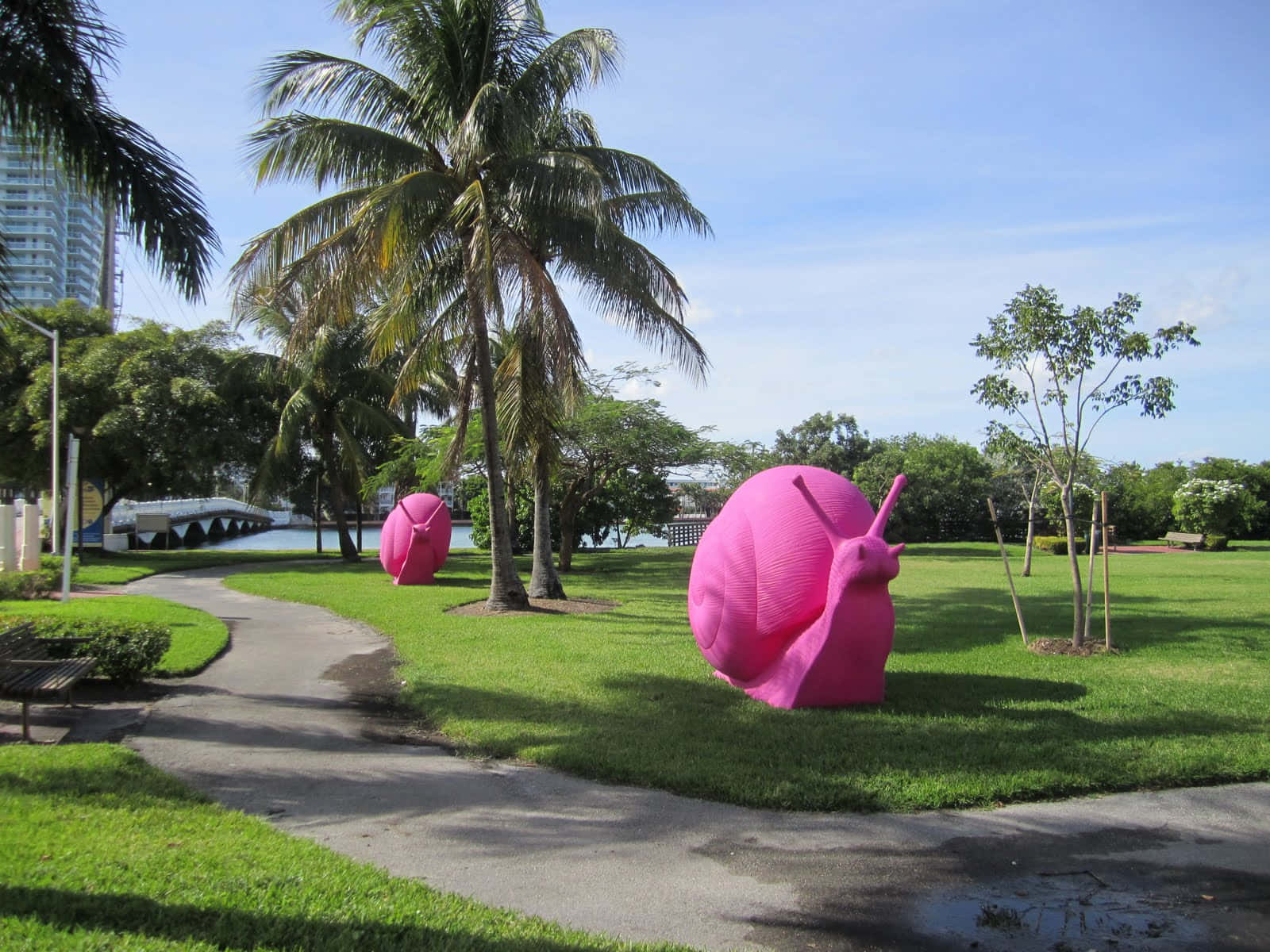 Vibrant Pink Snail Exploring Nature Wallpaper