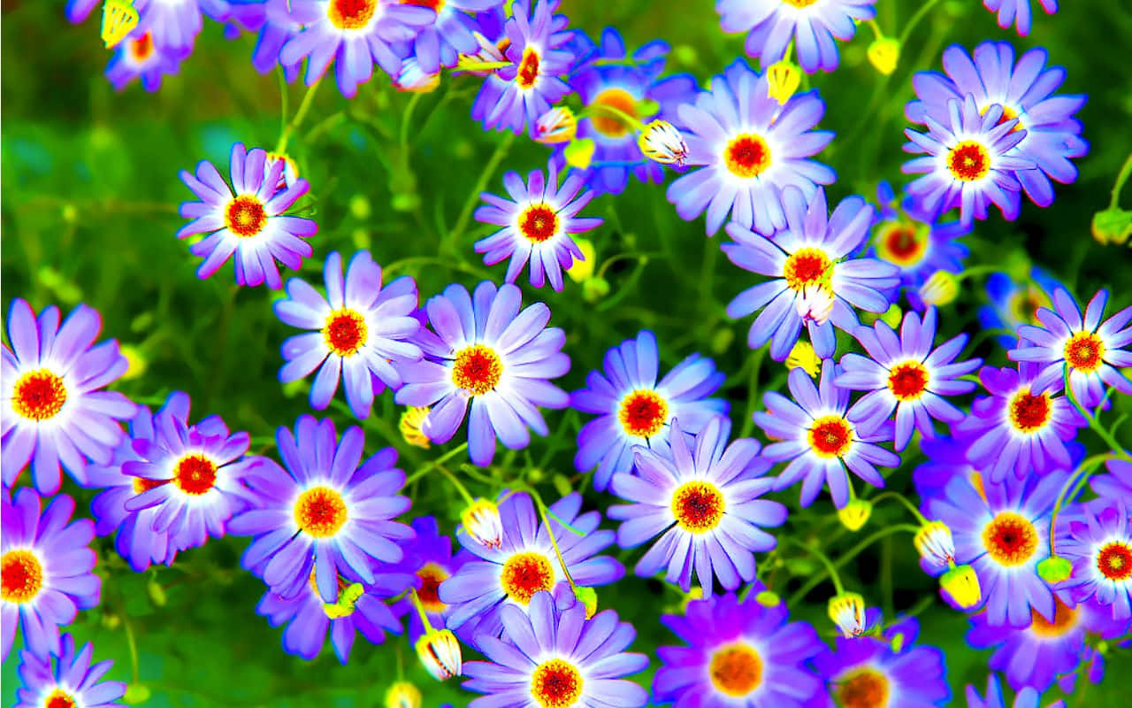 Vibrant Psychedelic Flowers Wallpaper Wallpaper