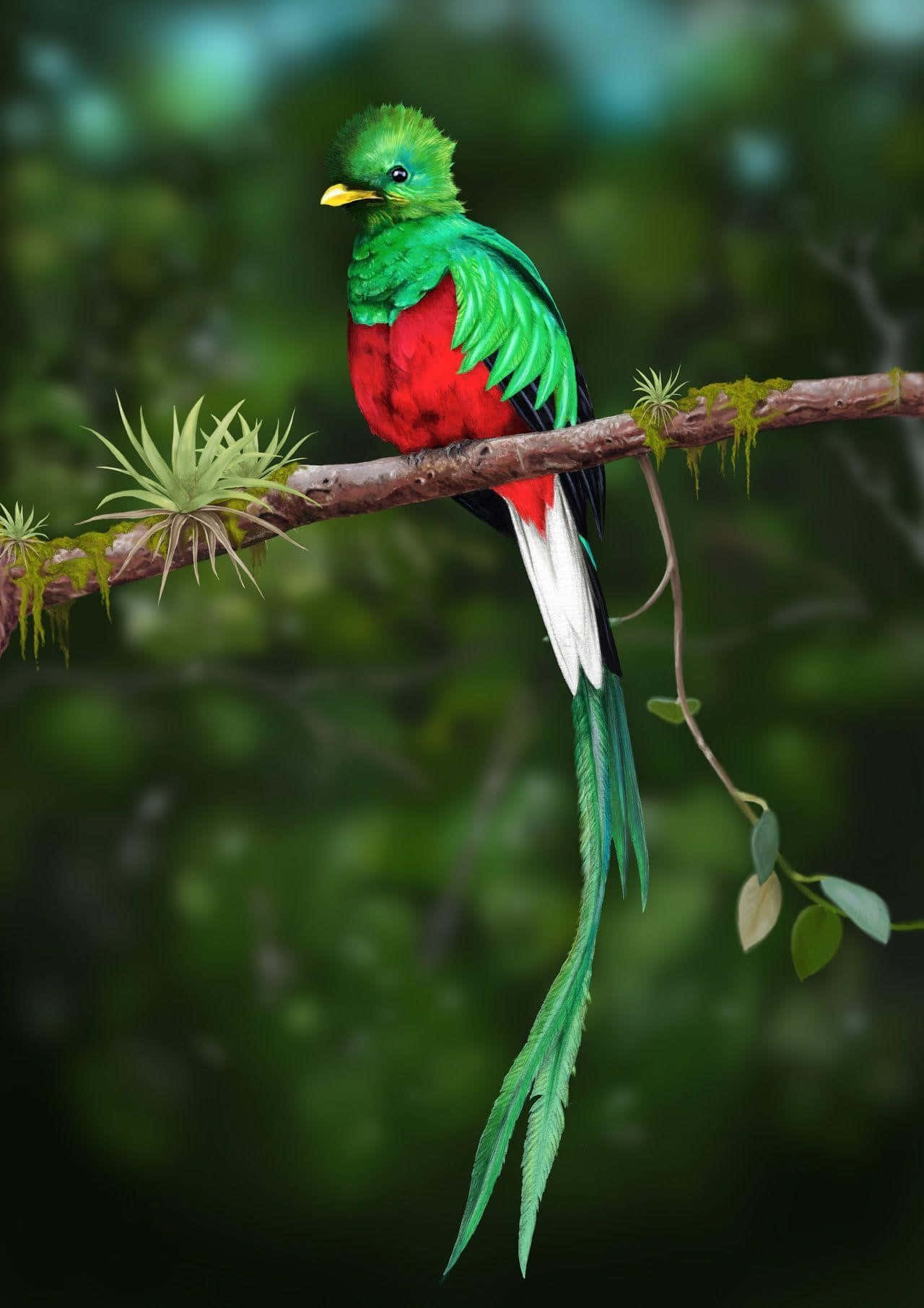 Vibrant Quetzal Perchedon Branch Wallpaper