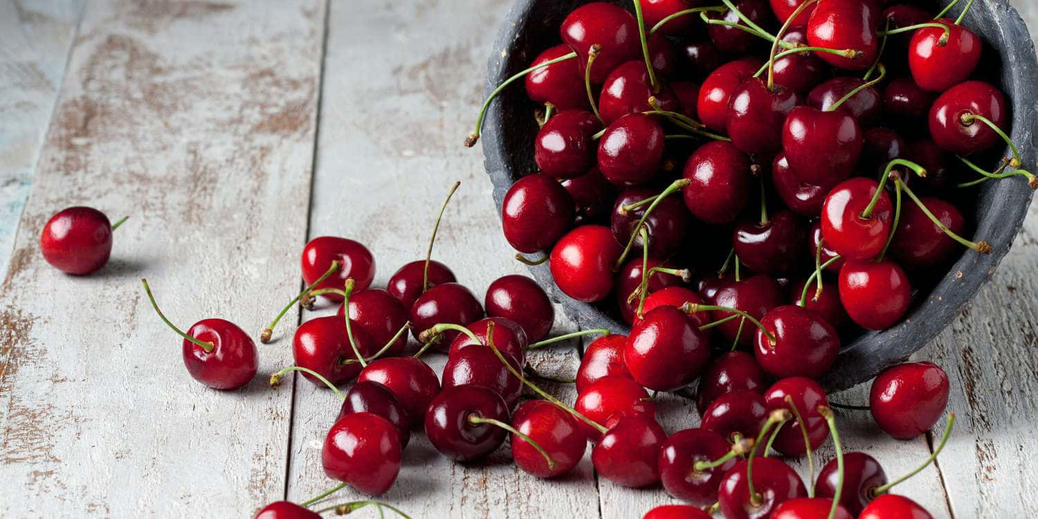 Vibrant Red Cherries In Full Bloom Wallpaper