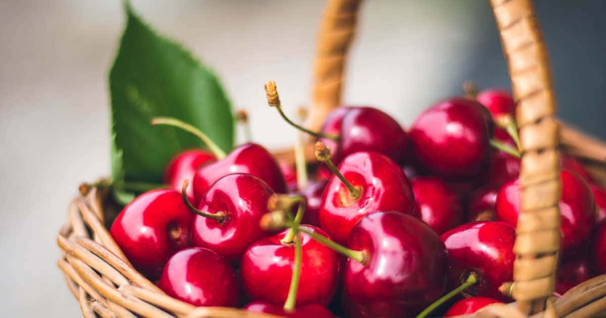 Vibrant Red Cherries On Display Wallpaper