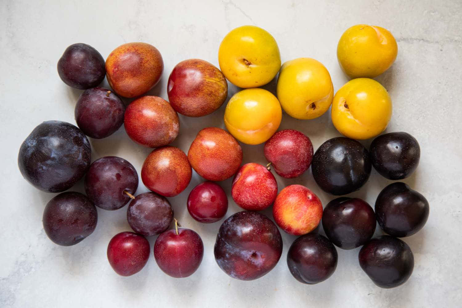 Vibrant Red Plum Fruit On Branch Wallpaper