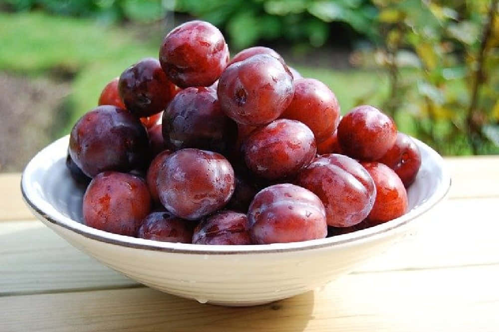 Vibrant Red Plum On A Branch Wallpaper