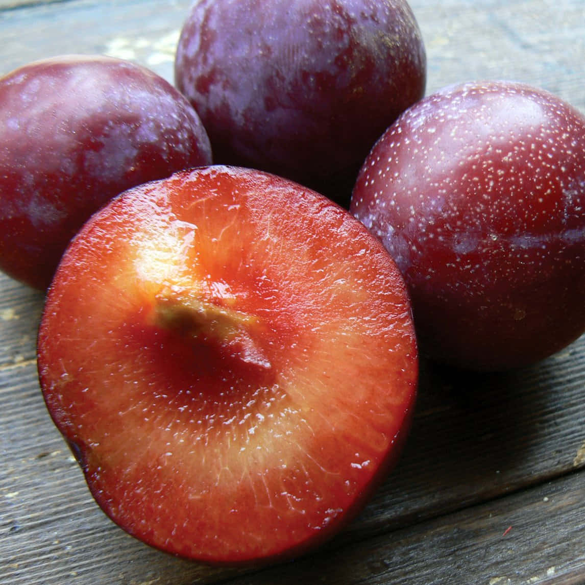 Vibrant Red Plum On A Branch Wallpaper