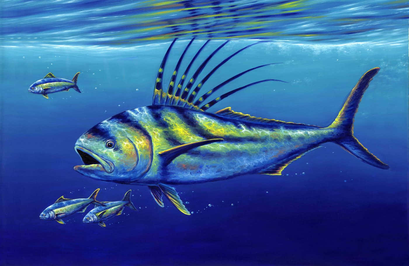 Vibrant Roosterfish Swimming In The Crystal-clear Ocean. Wallpaper