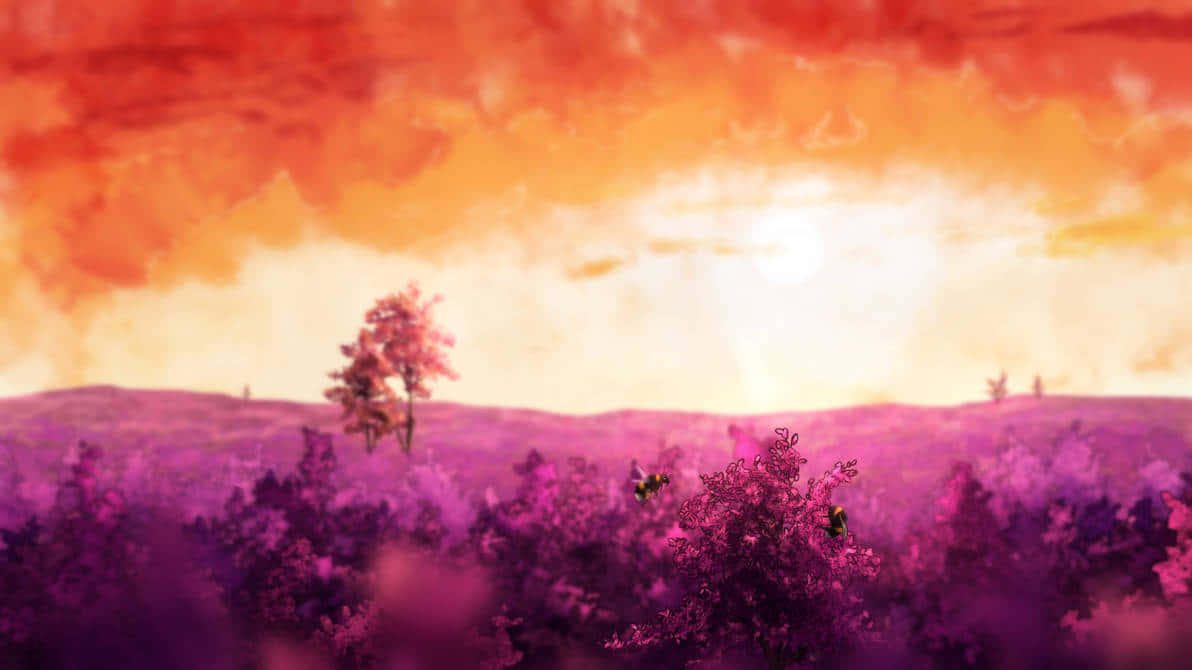 Vibrant Sunset Over Lavender Field Wallpaper