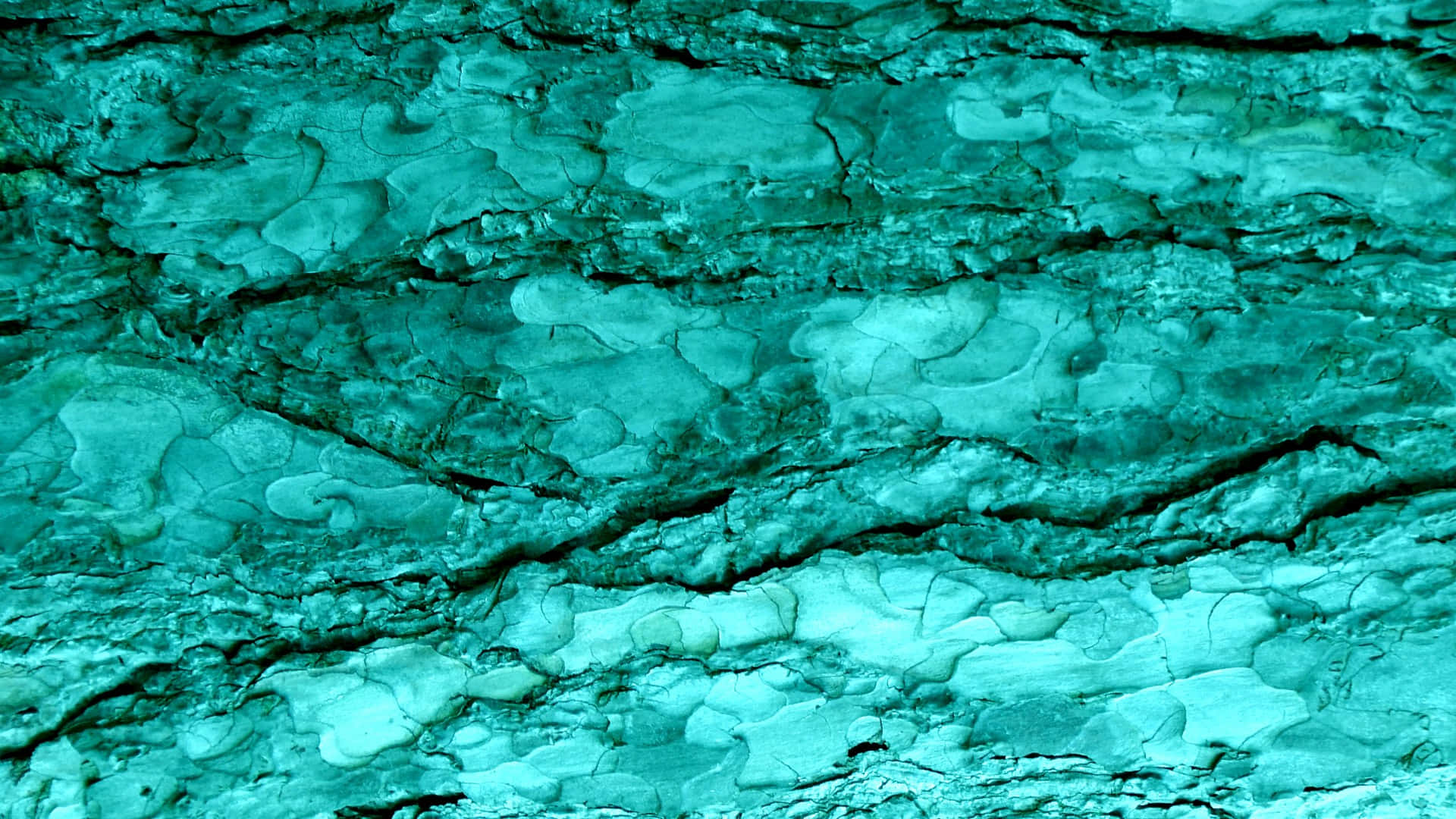 Vibrant Turquoise Blue For A Fresh And Fun Look Wallpaper