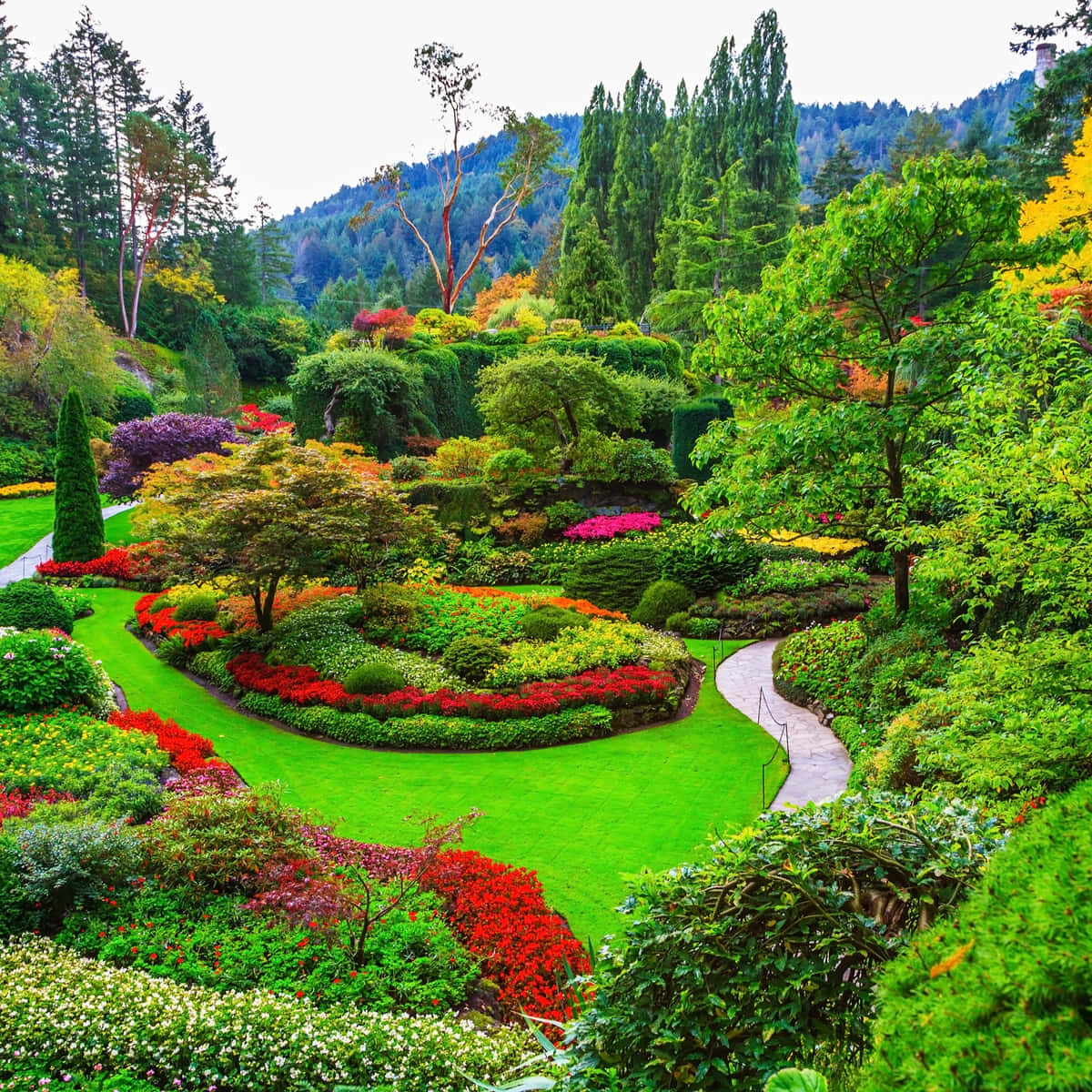 Vibrant Victorian Garden Path Wallpaper