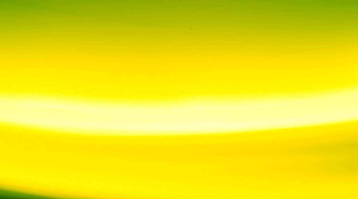 Vibrant Yellow Abstract Artwork Wallpaper