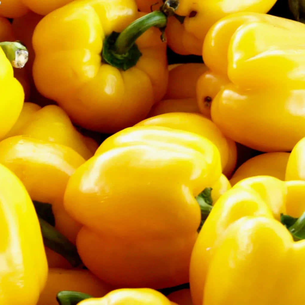 Vibrant Yellow Bell Pepper Close-up Wallpaper