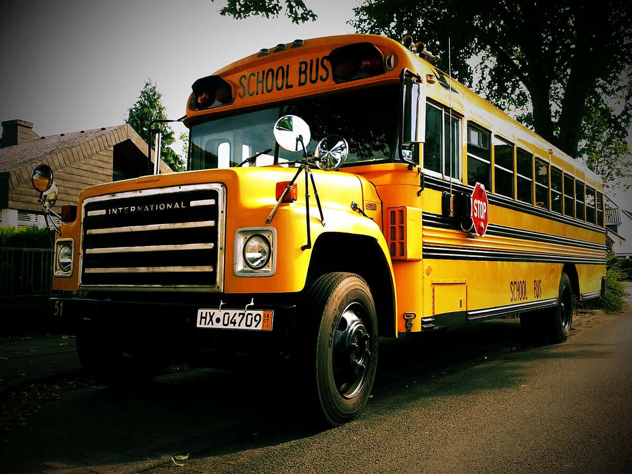 Vibrant Yellow School Bus On The Road Wallpaper