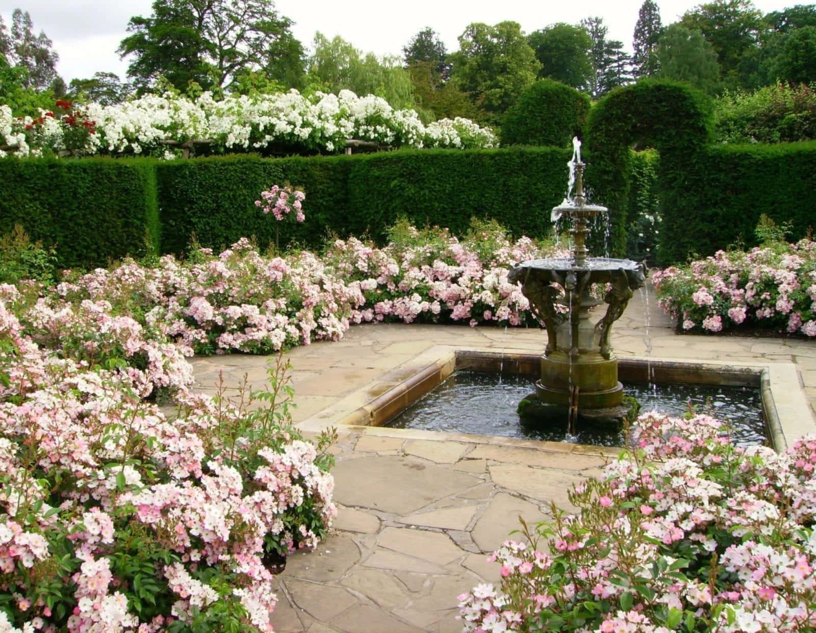 Victorian Garden Fountain Surroundedby Roses Wallpaper