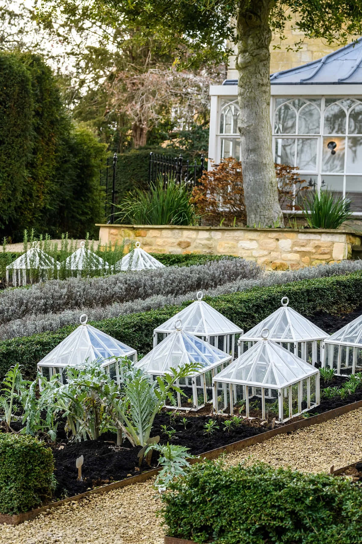 Victorian Garden Glass Cloches Wallpaper