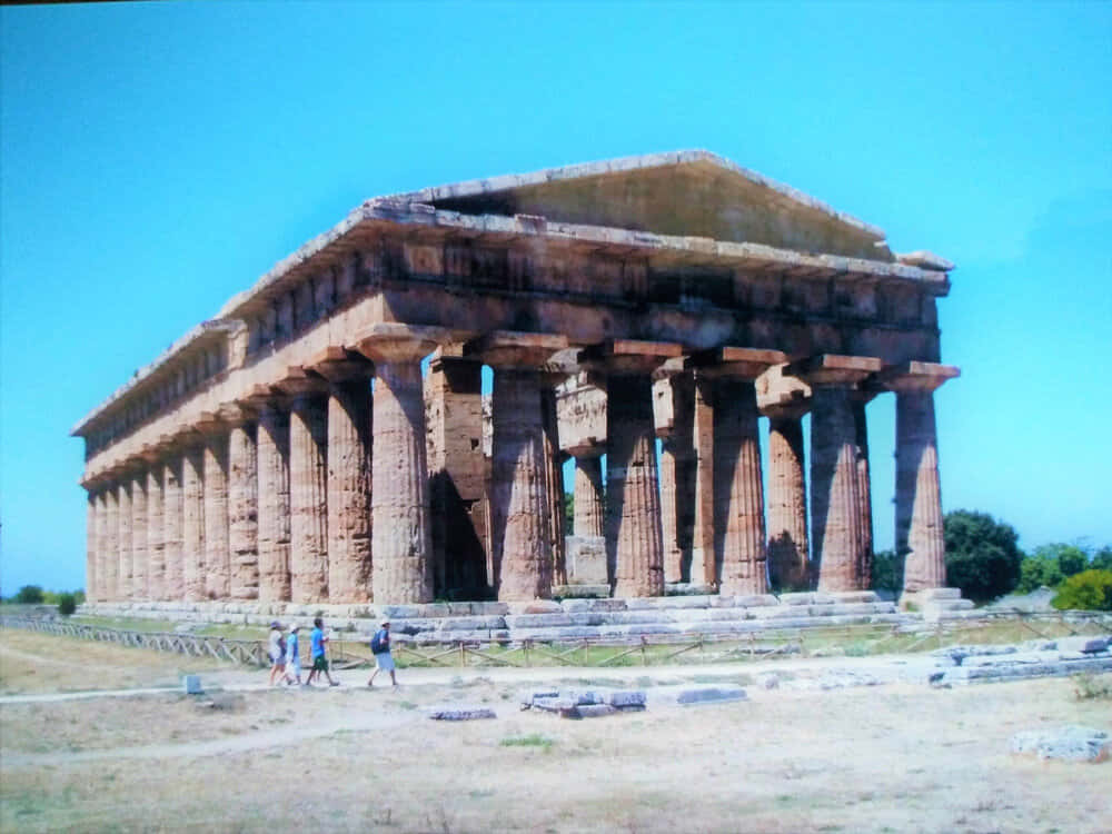 Vignette Paestum Wallpaper