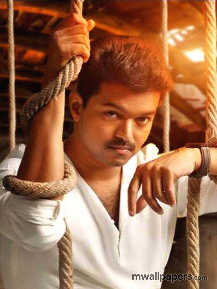 Vijay Hd Hindi Actor Wallpaper