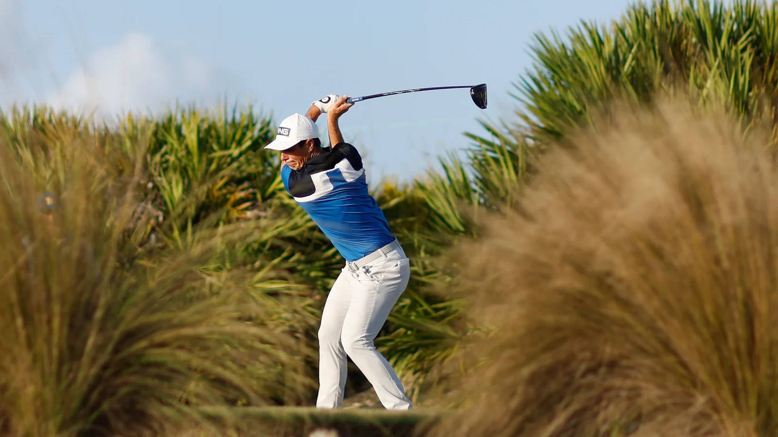 Viktor Hovland In The Grasses Wallpaper