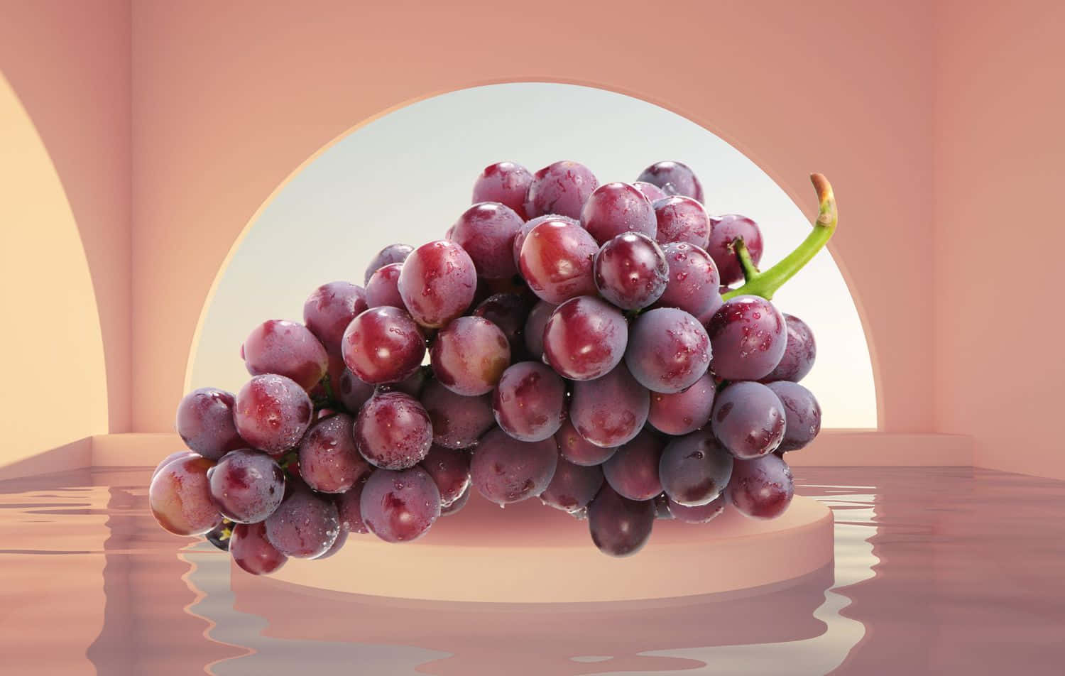 Vineyard Of Purple Grapes Wallpaper