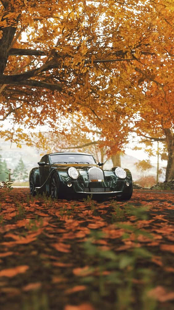 Vintage Autumn Black Morgan Wallpaper