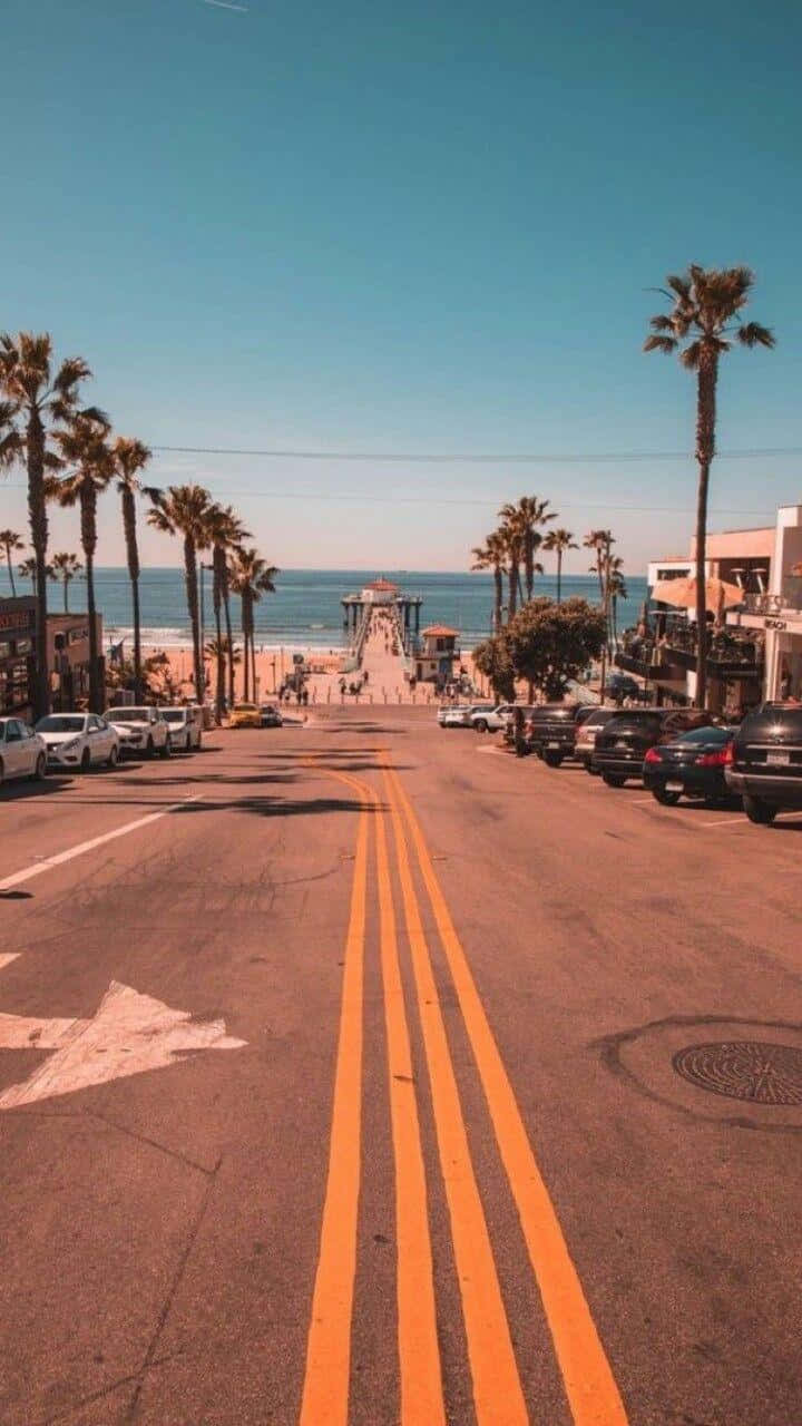 Vintage Beach Boulevard Palm Trees Wallpaper