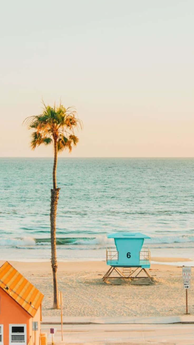 Vintage Beach Palmand Lifeguard Tower.jpg Wallpaper