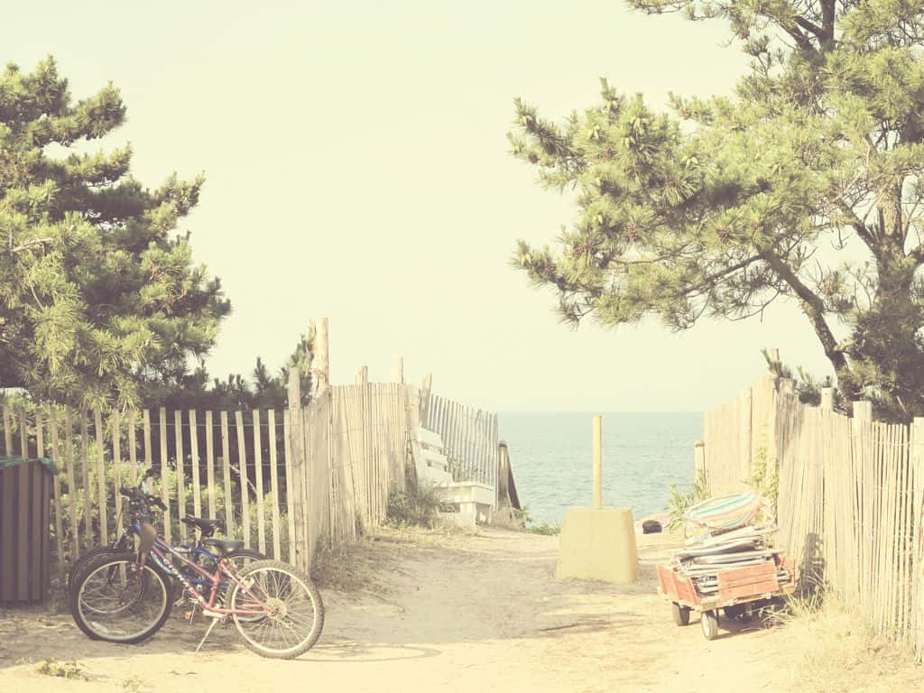 Vintage Beach Pathway Bicycles Wallpaper