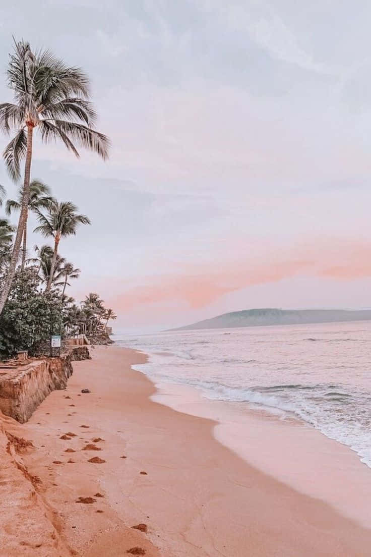 Vintage Beach Sunset Palm Trees Wallpaper