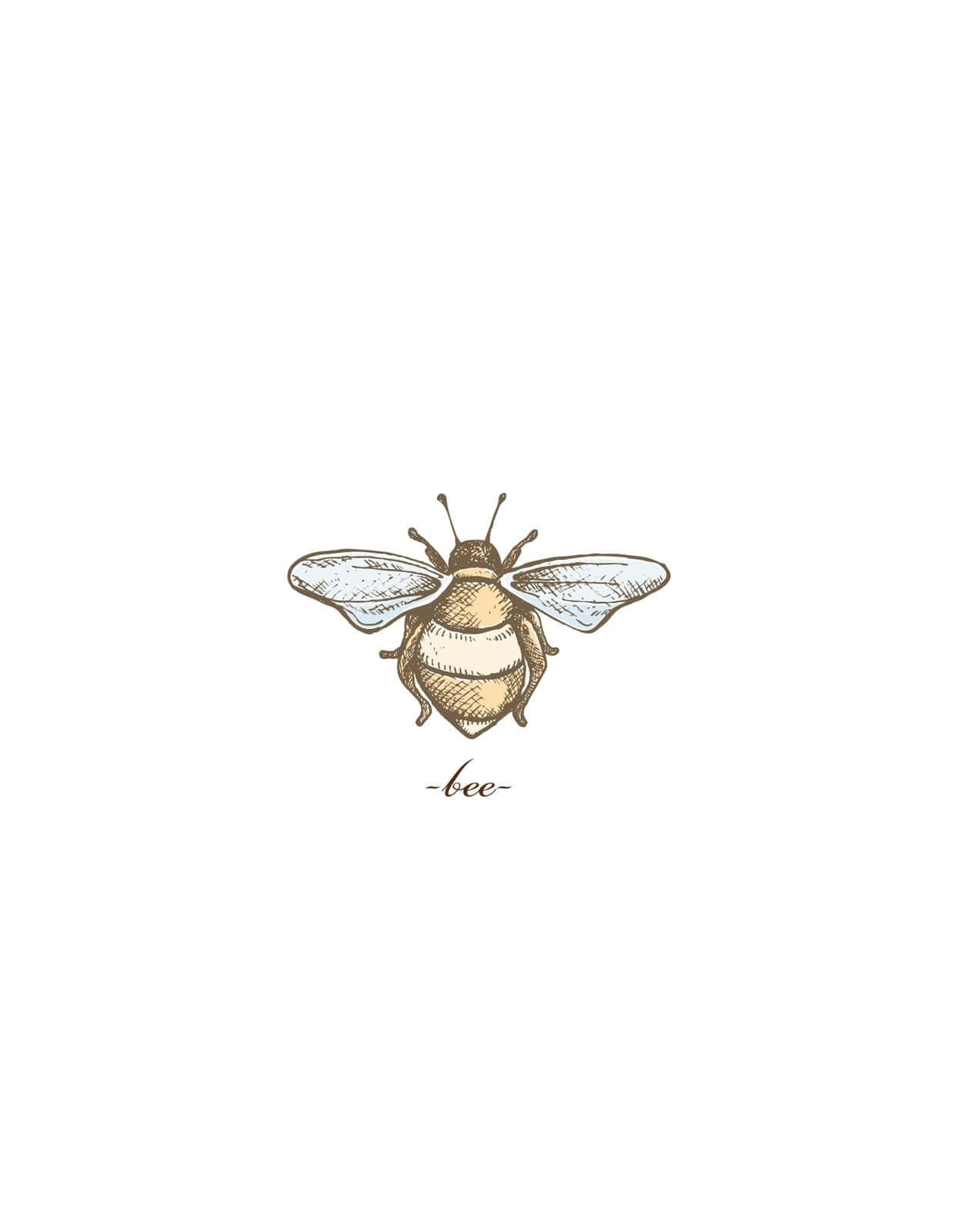 Vintage Bee Illustration Wallpaper