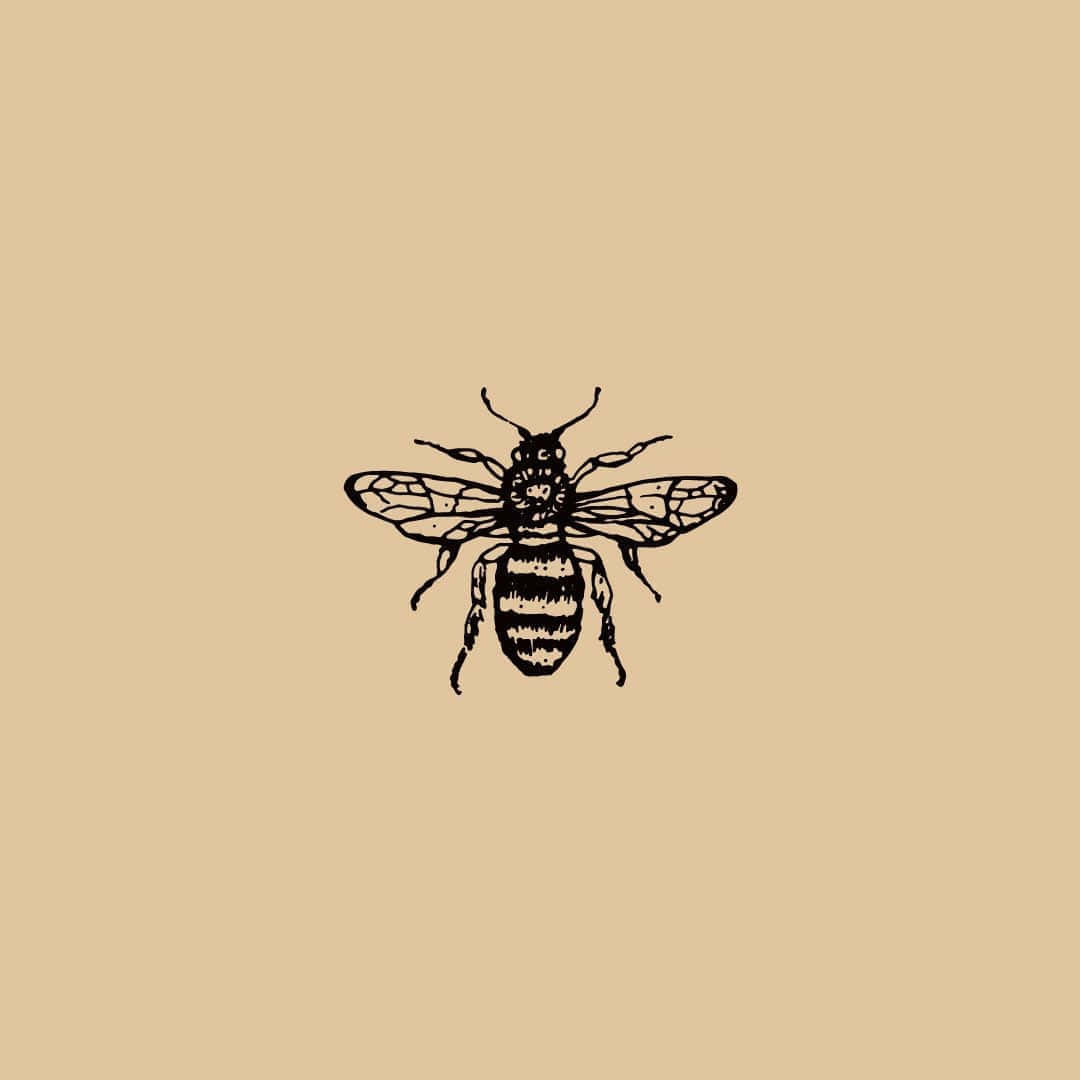 Vintage Bee Illustration Aesthetic Wallpaper