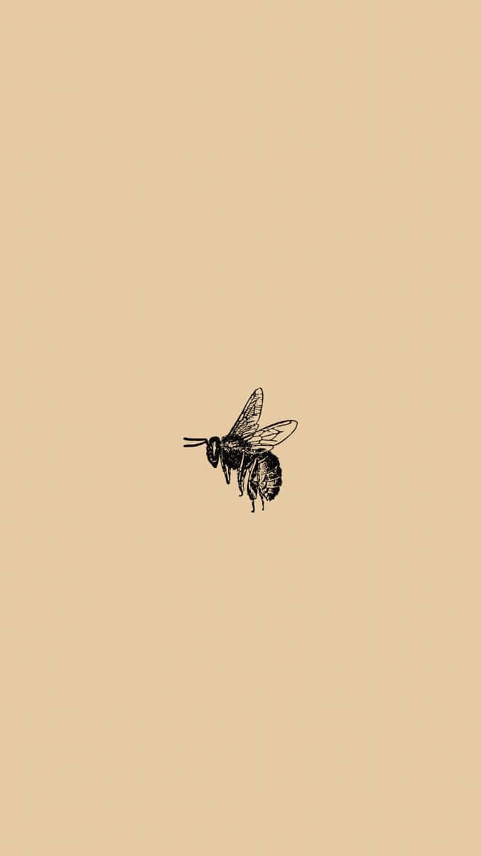 Vintage Bee Illustration Aesthetic Wallpaper