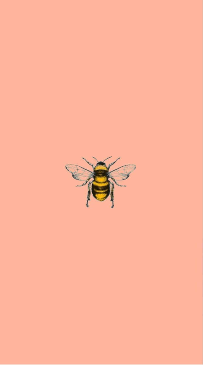 Vintage Bee Illustration Peach Background Wallpaper