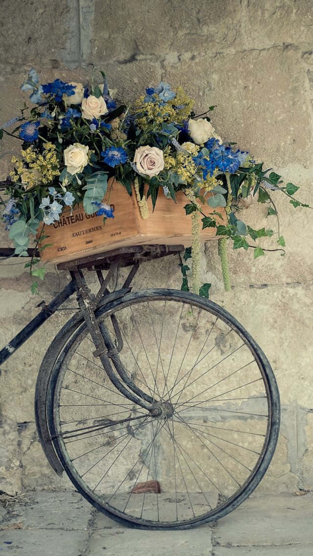 Vintage Bicyclewith Flower Basket Wallpaper