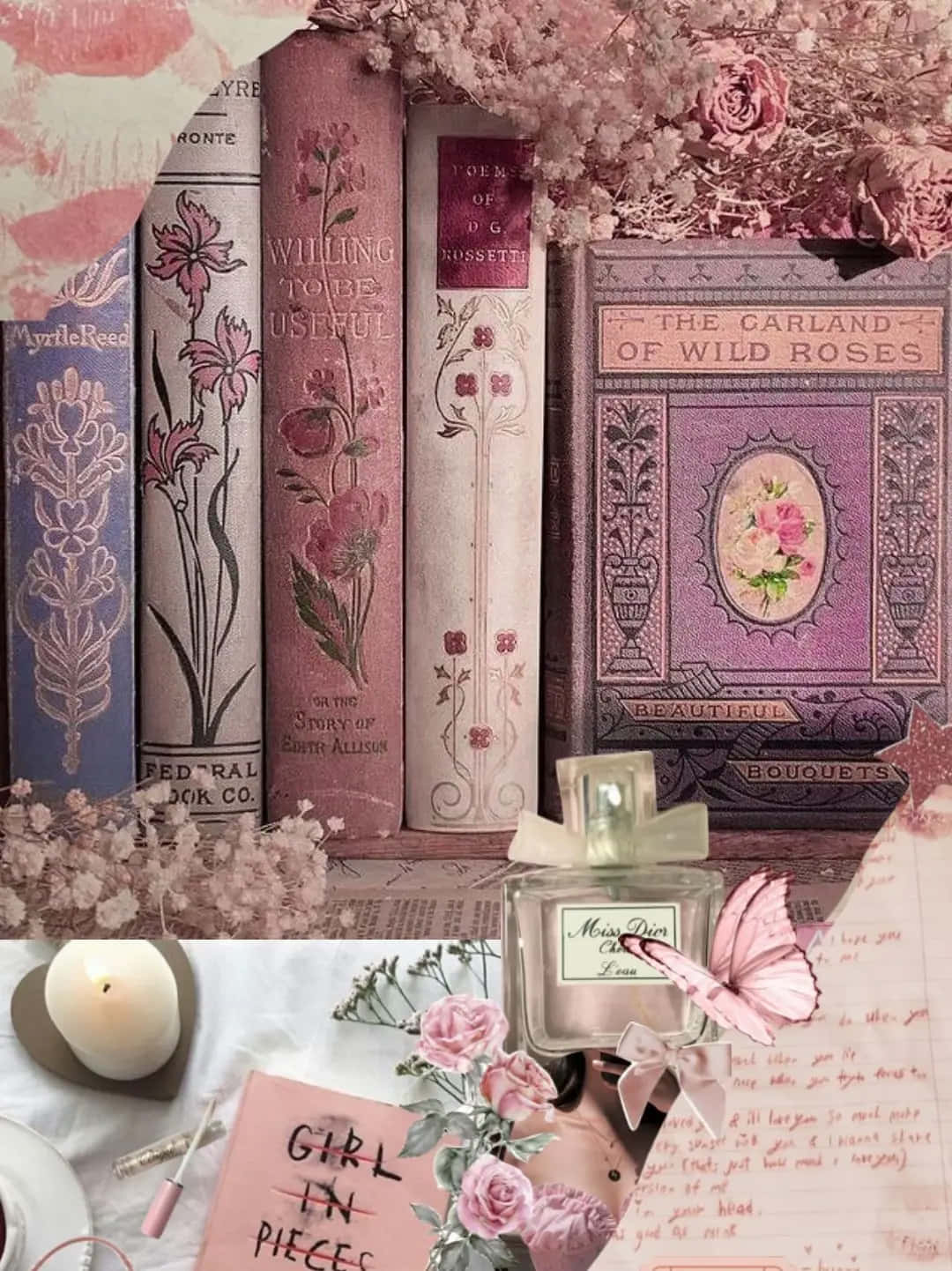 Vintage Bookshelf Aesthetic Wallpaper