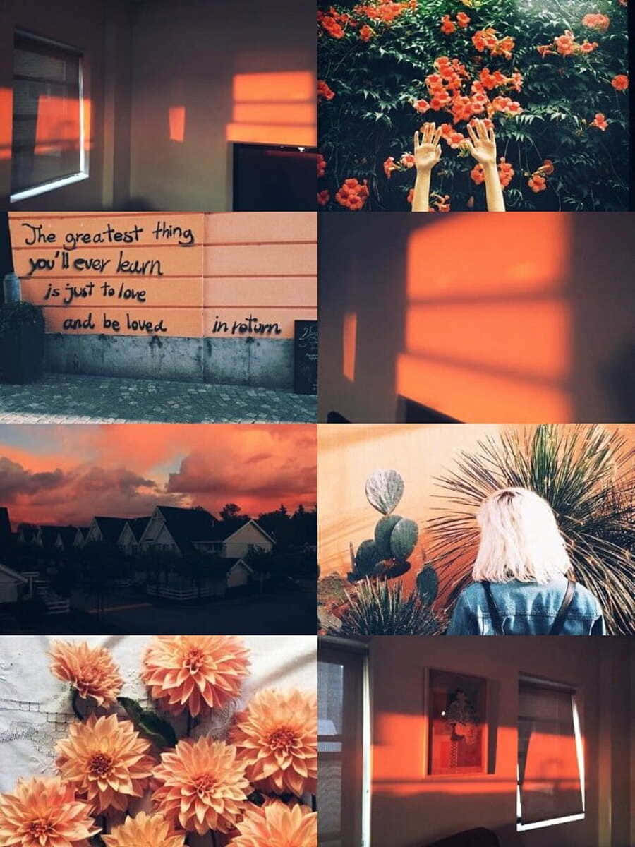 Vintage Orange Aesthetic Collage Wallpaper