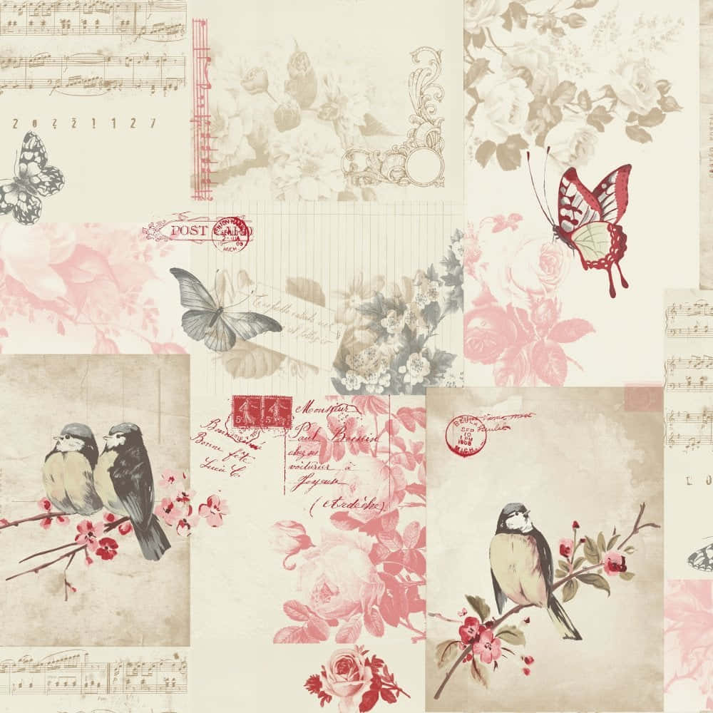 Vintage Postcard Collage Birds Floral Wallpaper