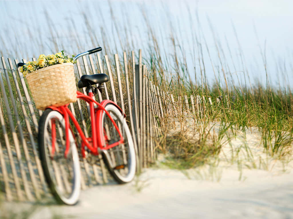 Vintage Red Bicycle Beach Dunes Wallpaper