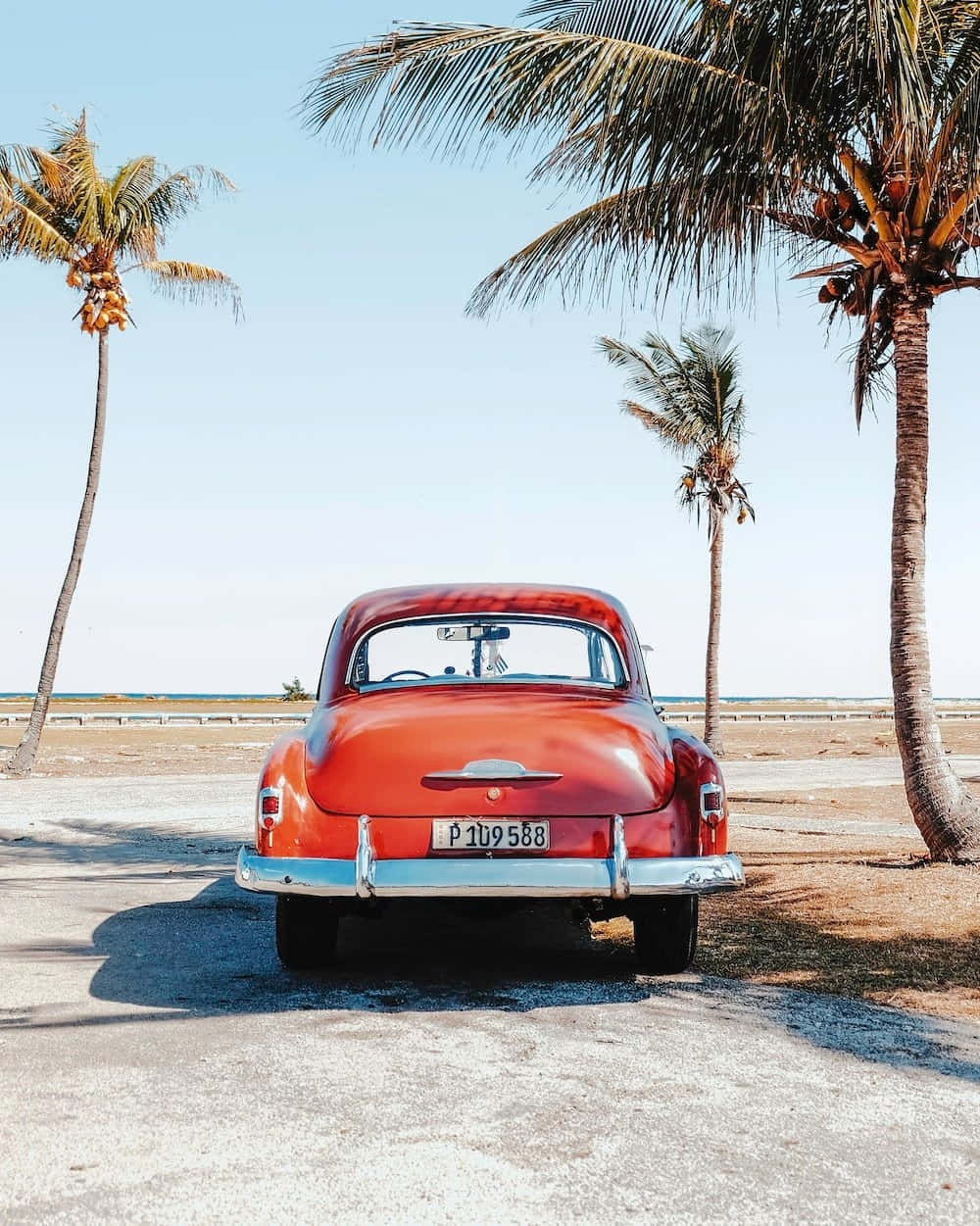 Vintage Red Car Tropical Backdrop Wallpaper