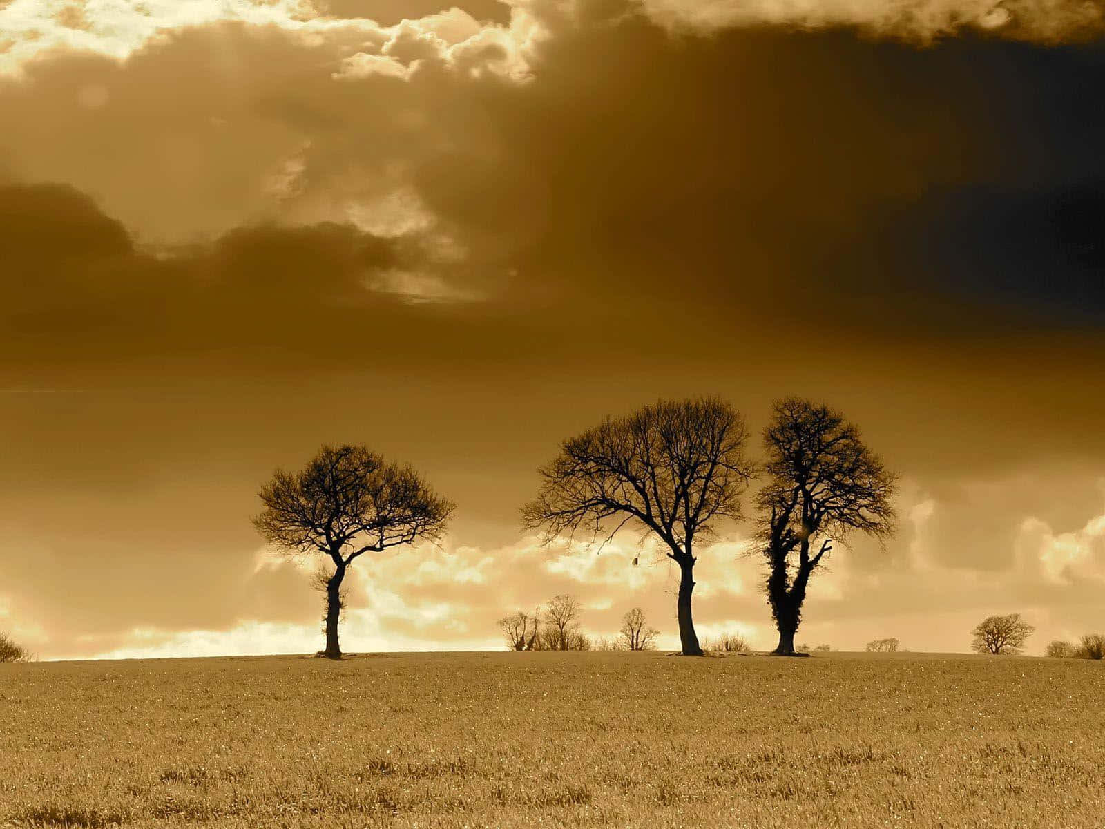 Vintage Sepia Landscape At Sunset Wallpaper