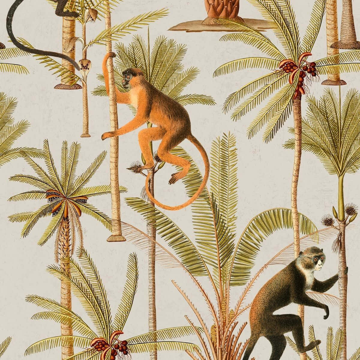 Vintage Squirrel Monkey Illustration Wallpaper