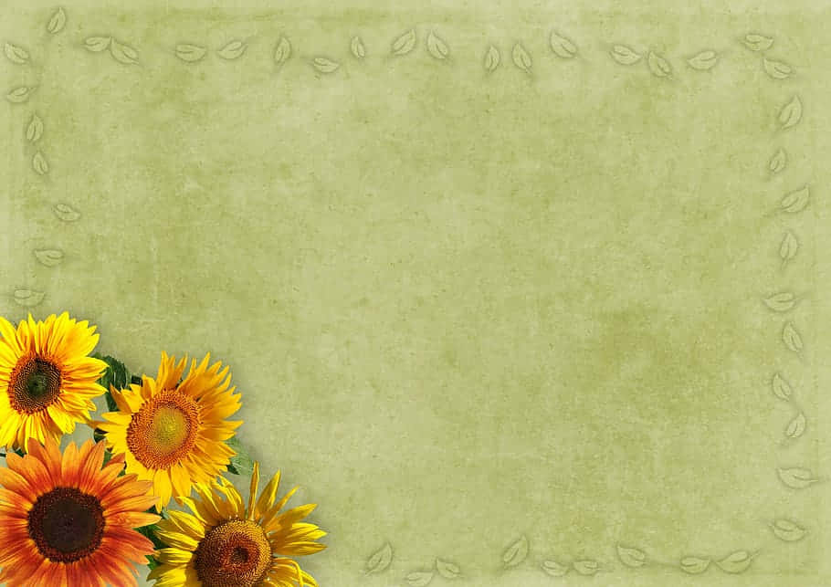 Vintage Sunflower Background Wallpaper