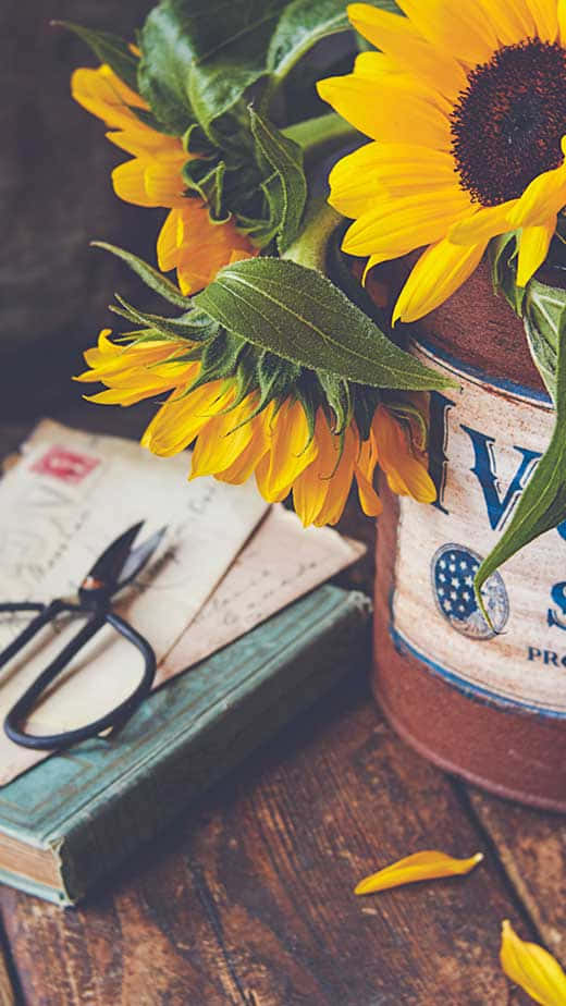 Vintage Sunflower Still Life Wallpaper