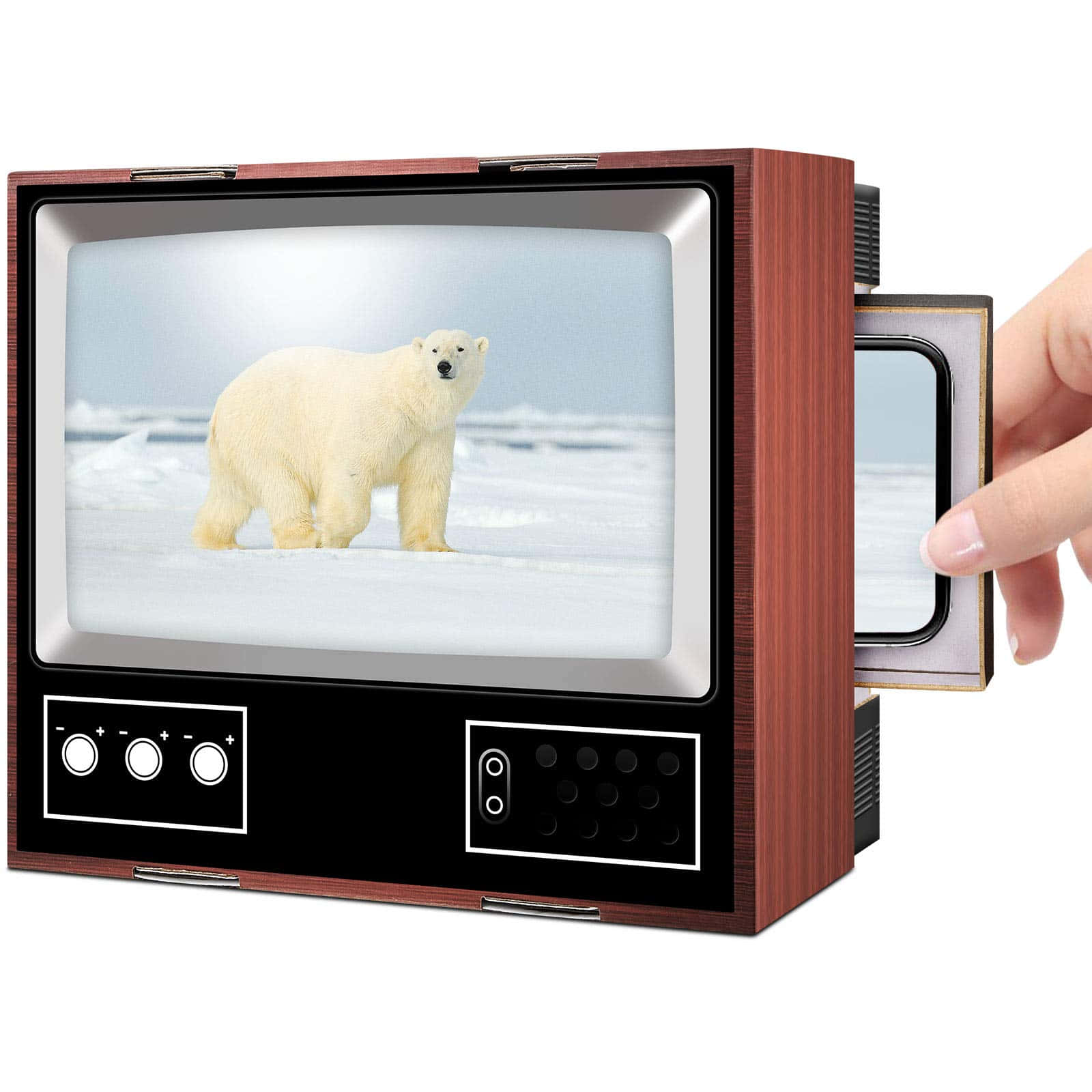 Vintage T V Polar Bear Display Wallpaper