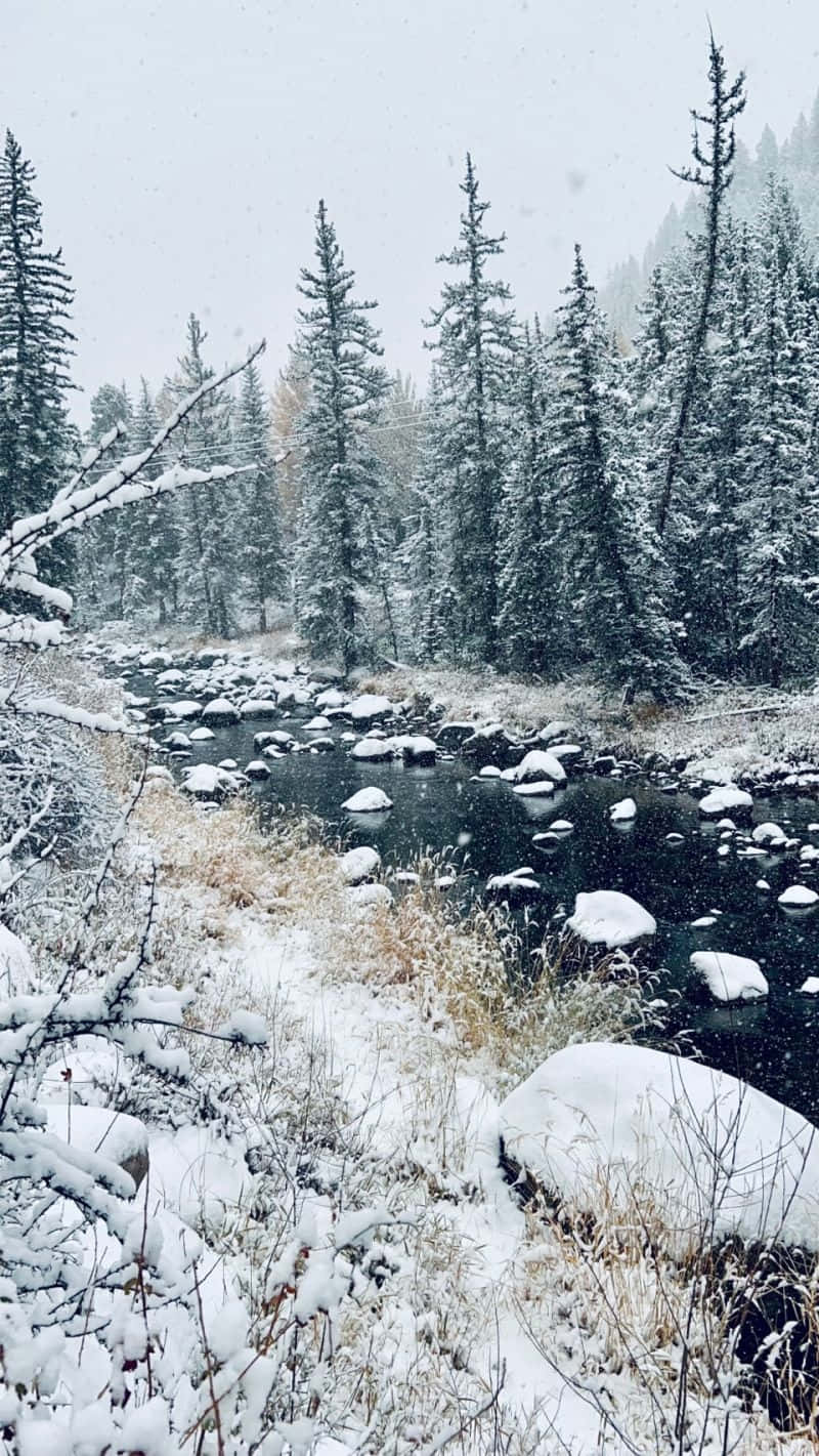 Vintage Winter River Scene Wallpaper