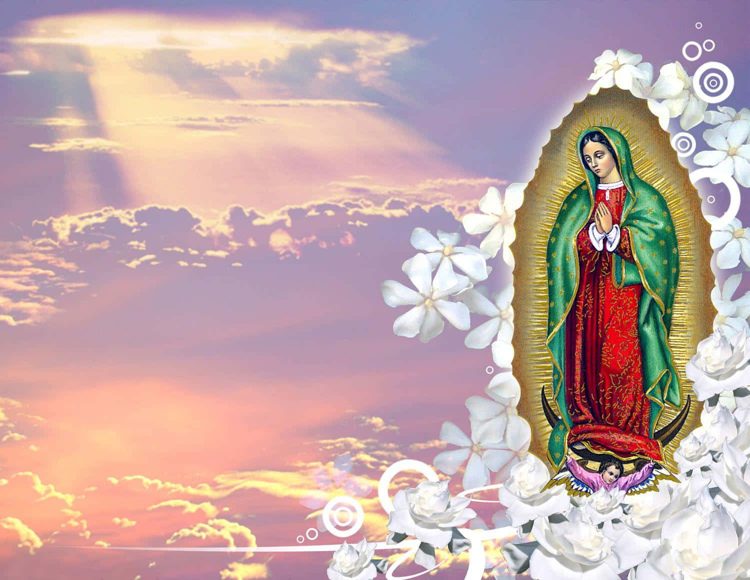 Virginof Guadalupe Sunset Backdrop Wallpaper