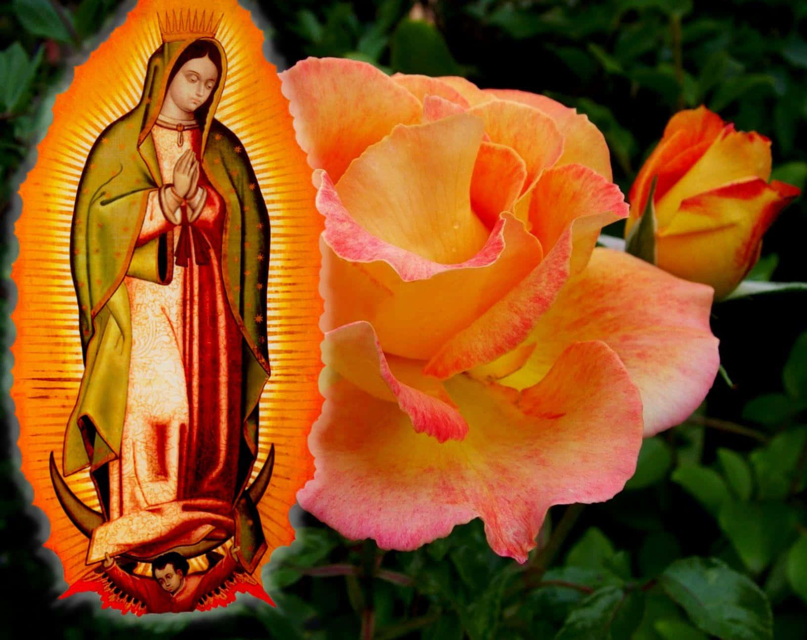 Virginof Guadalupewith Roses Wallpaper